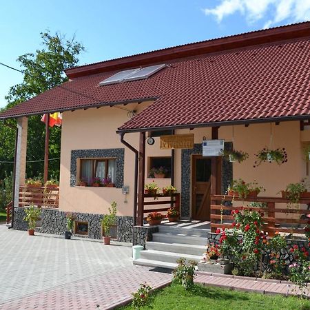 Vila Arnota Costesti  Exteriér fotografie
