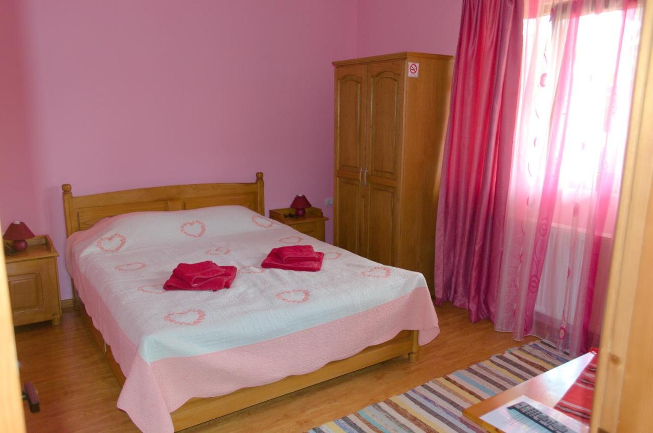 Vila Arnota Costesti  Exteriér fotografie