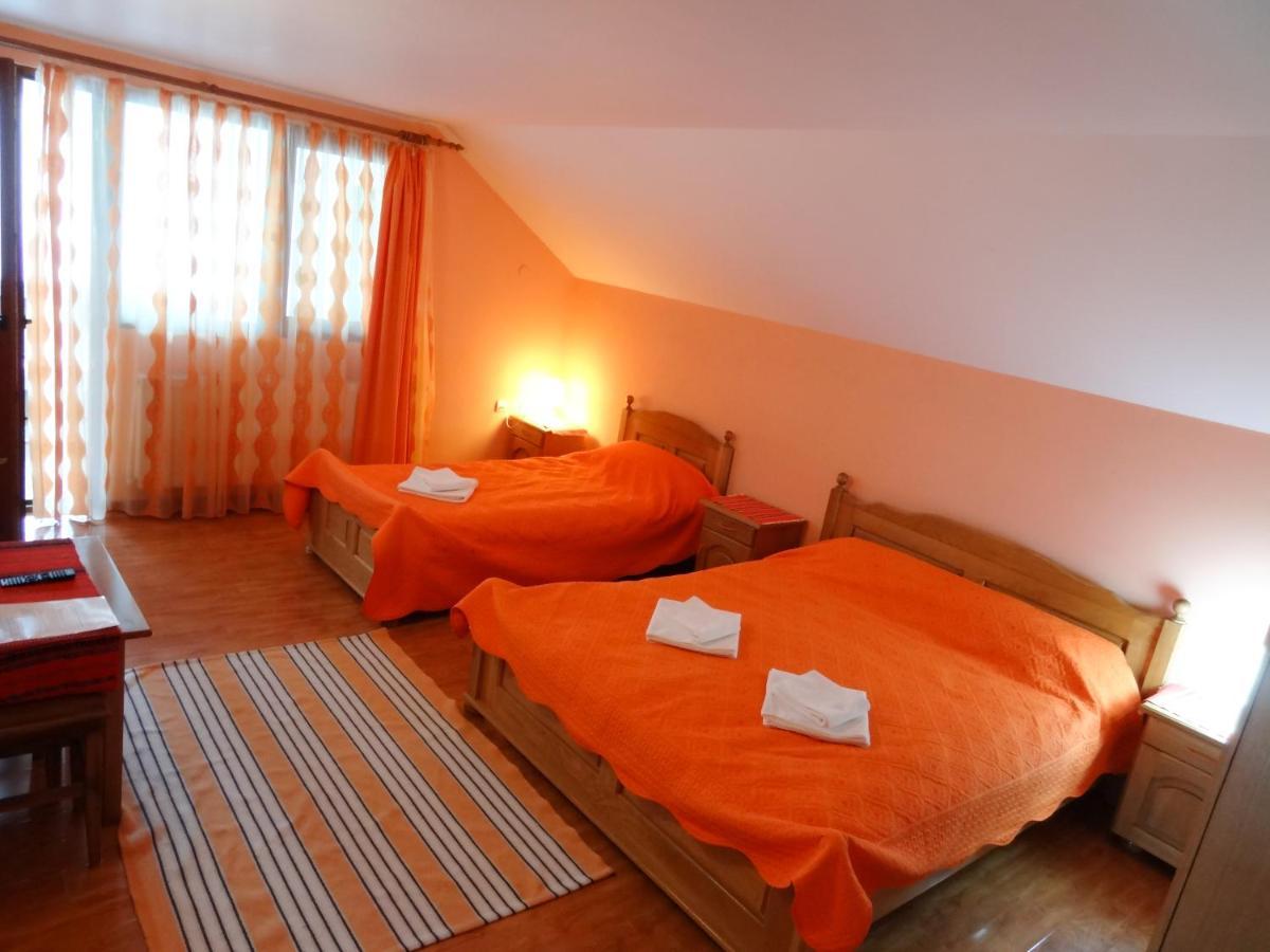 Vila Arnota Costesti  Exteriér fotografie