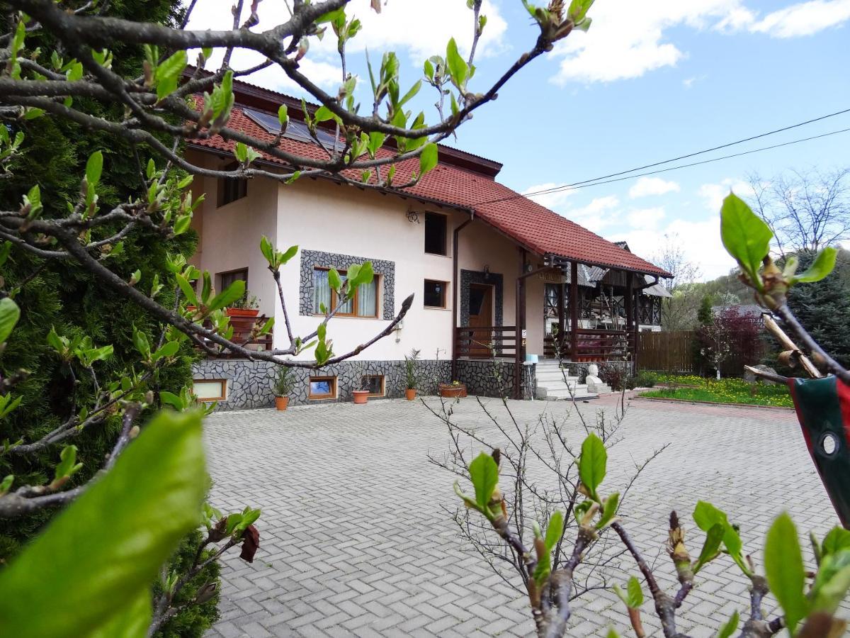 Vila Arnota Costesti  Exteriér fotografie