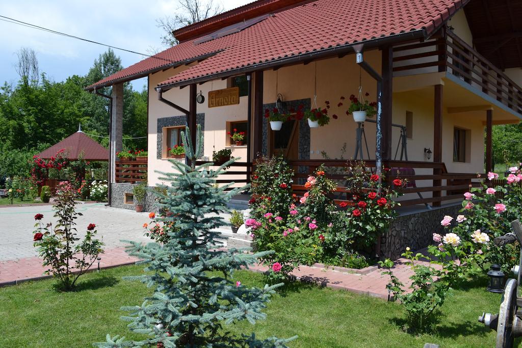 Vila Arnota Costesti  Exteriér fotografie
