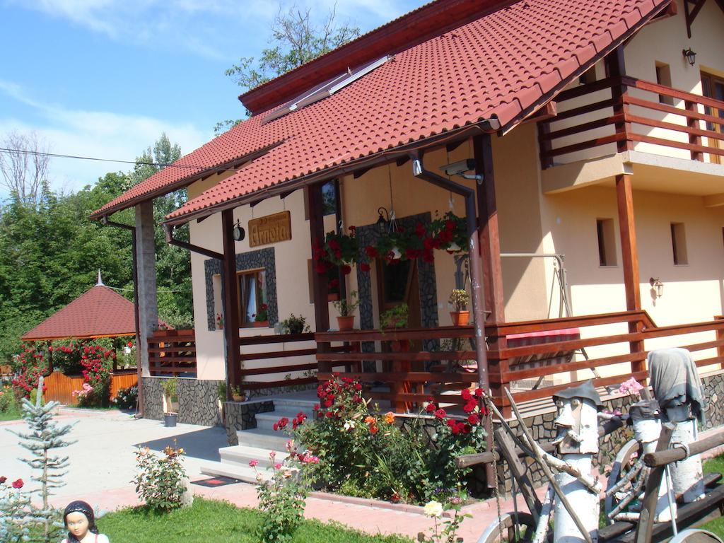 Vila Arnota Costesti  Exteriér fotografie