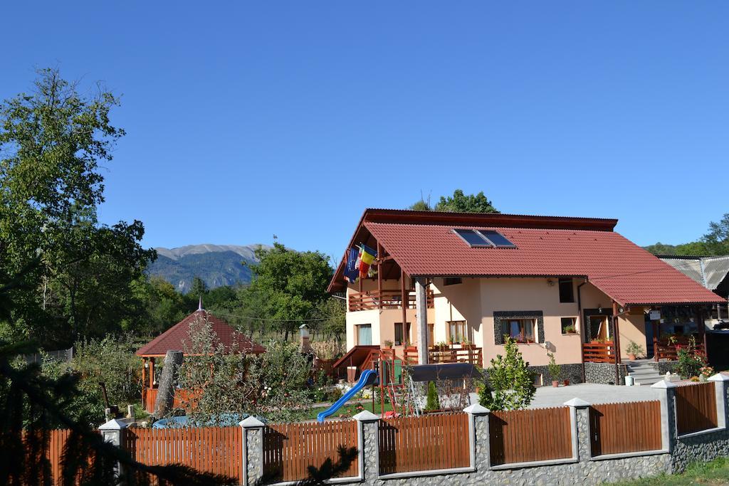 Vila Arnota Costesti  Exteriér fotografie