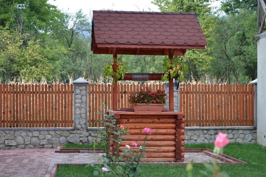 Vila Arnota Costesti  Exteriér fotografie